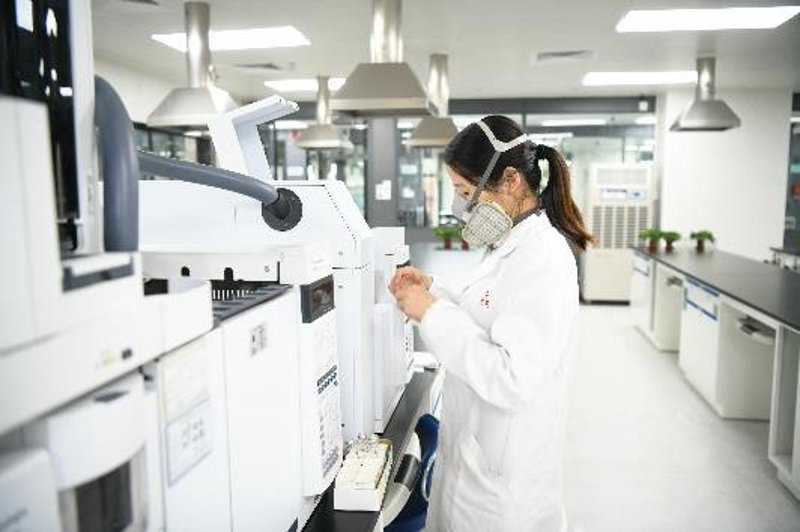 职场新风向标:2023年求职指导趋势解析