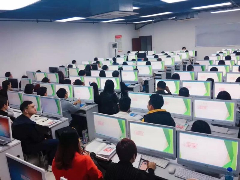 求职指导:导航职业生涯的指引灯